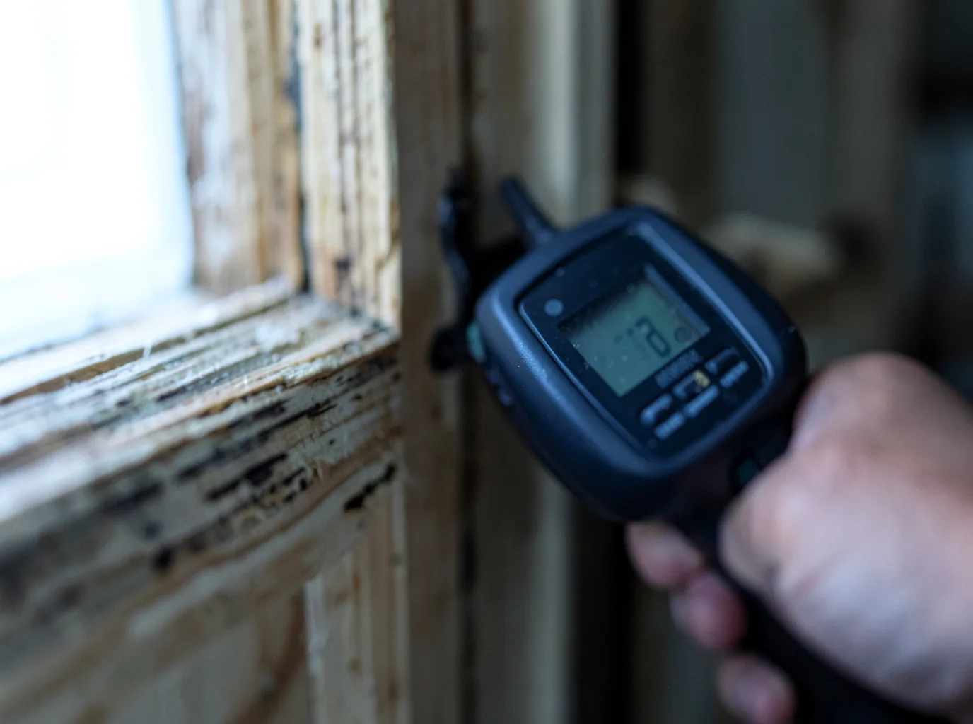 Moisture Inspection And Documentation in Moss, TN